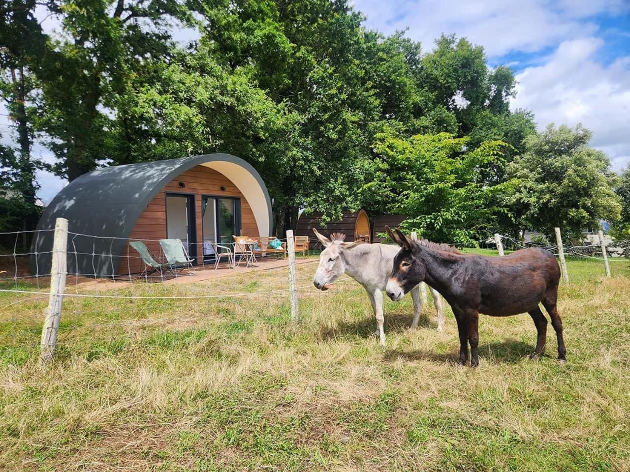 Gites & Tiny Houses Les Hauts De Toulvern Baden Habitación foto