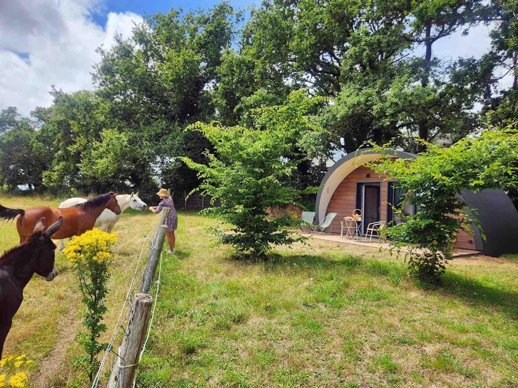 Gites & Tiny Houses Les Hauts De Toulvern Baden Habitación foto